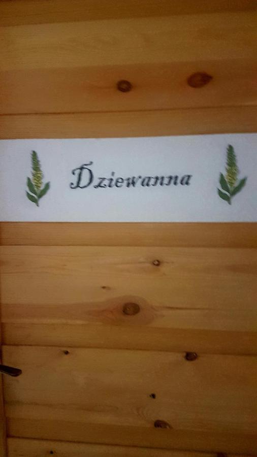 Dziewanna Apartment Brzeziniec Exterior foto