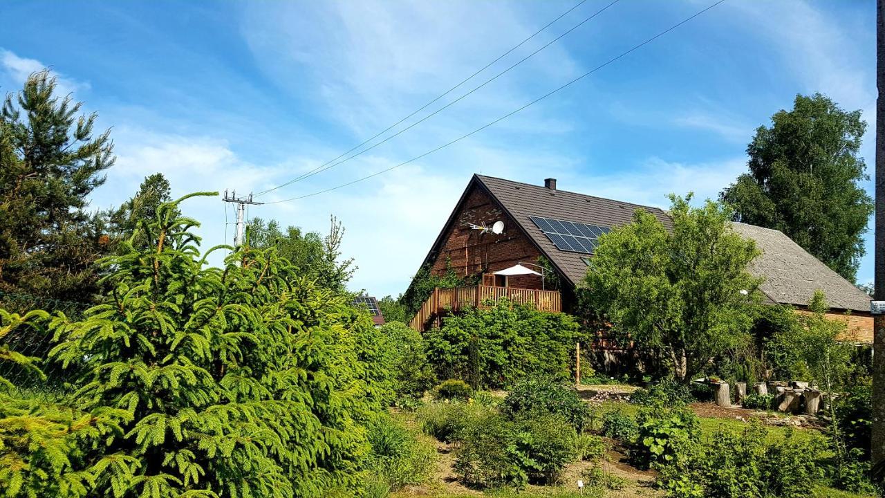Dziewanna Apartment Brzeziniec Exterior foto